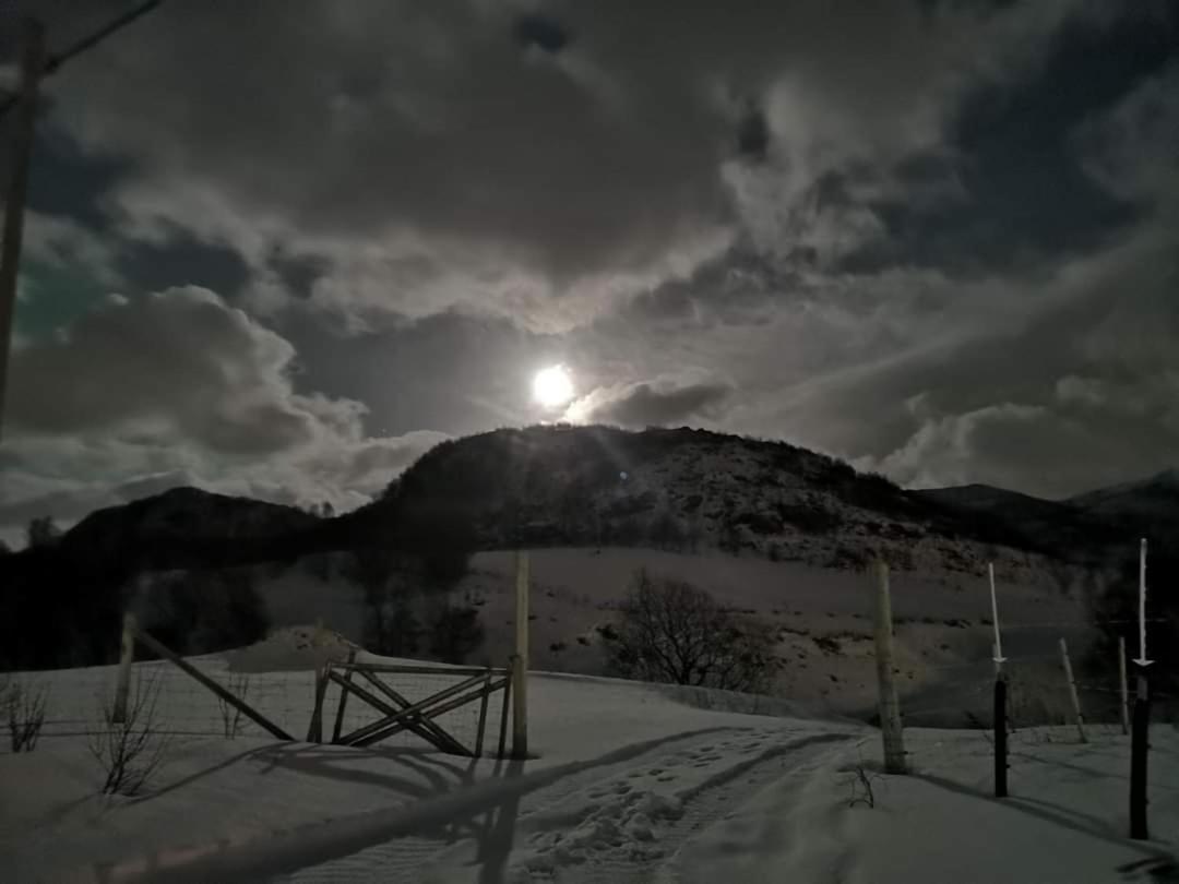 Storjord Farmstay Ranchhouse Kvaloya Zewnętrze zdjęcie