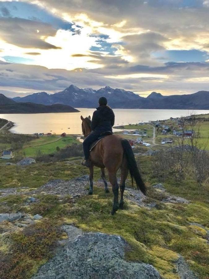 Storjord Farmstay Ranchhouse Kvaloya Zewnętrze zdjęcie