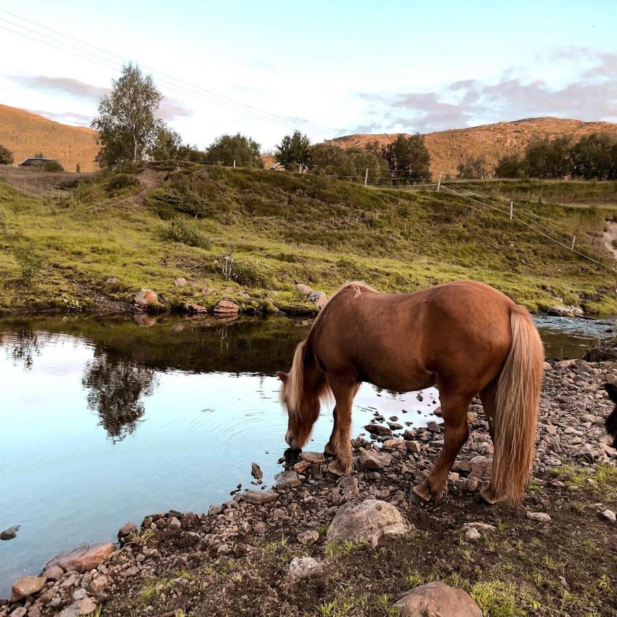 Storjord Farmstay Ranchhouse Kvaloya Zewnętrze zdjęcie