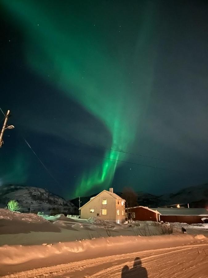 Storjord Farmstay Ranchhouse Kvaloya Zewnętrze zdjęcie