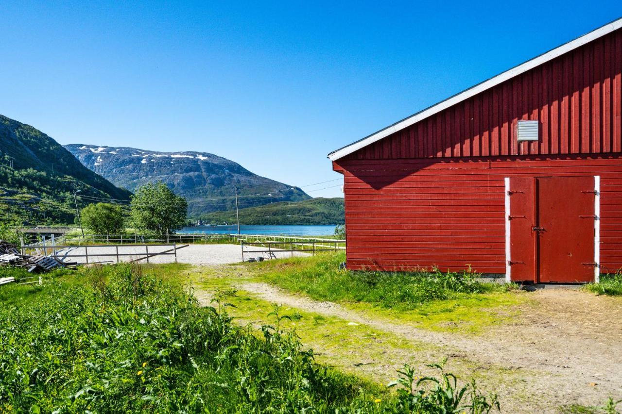 Storjord Farmstay Ranchhouse Kvaloya Zewnętrze zdjęcie
