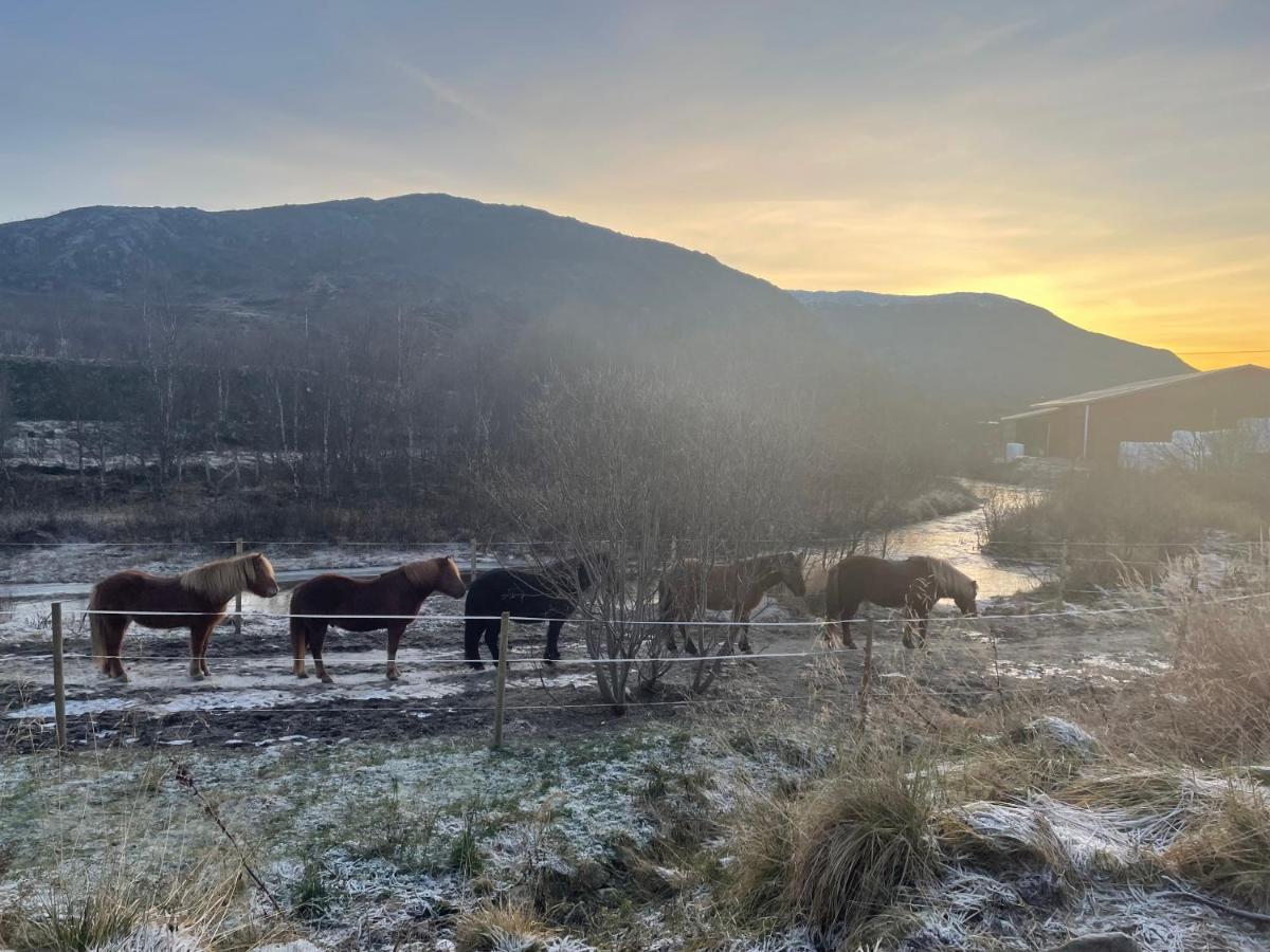 Storjord Farmstay Ranchhouse Kvaloya Zewnętrze zdjęcie
