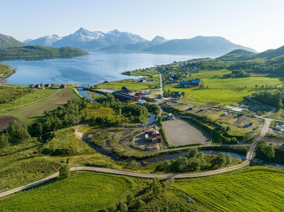 Storjord Farmstay Ranchhouse Kvaloya Zewnętrze zdjęcie